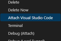 Screenshot of the Attach to Visual Studio Code option